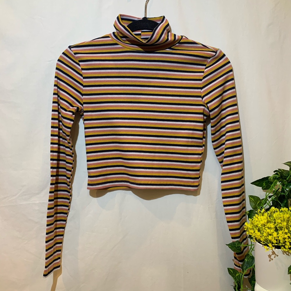 Striped Turtleneck Crop Top